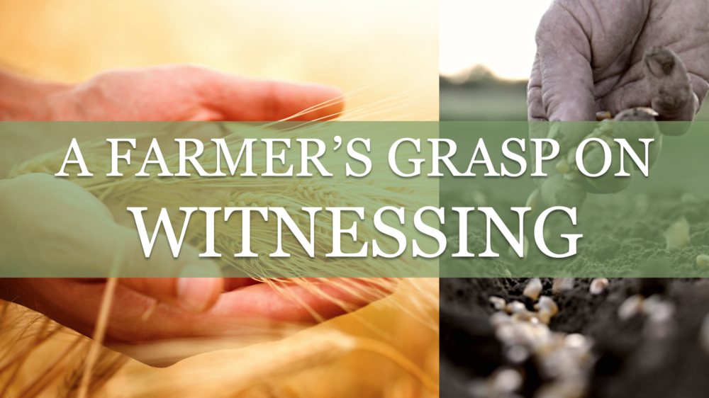 A Farmer's Grasp on Witnessing Image