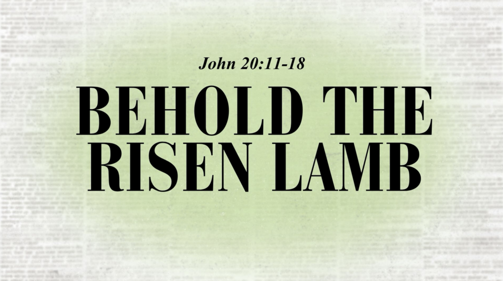 Behold The Risen Lamb Image